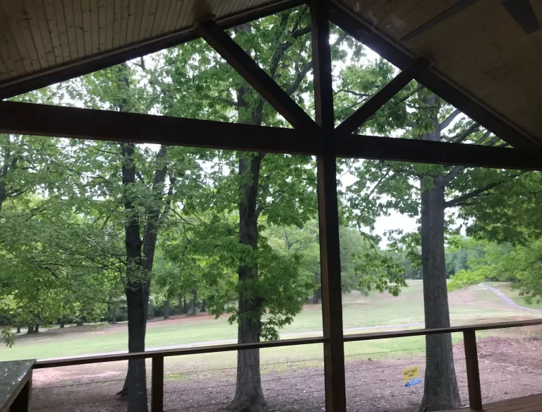 Deck, porch or patio built by Titan Built Construction